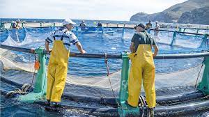  انطلاق أشغال بلورة الاستراتيجية الوطنية لتنمية الاقتصاد الأزرق