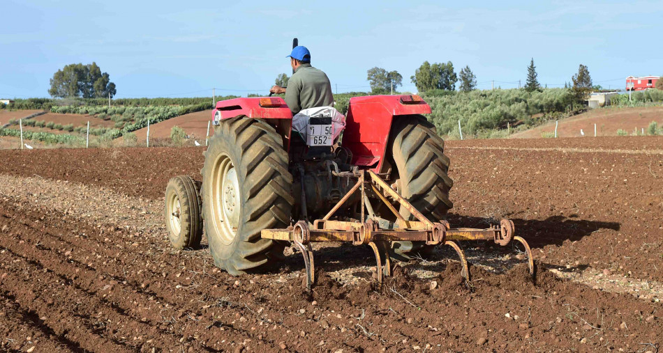 صديقي:  الأمطار الأخيرة من شأنها تحسين وضعية إنتاج الحبوب في المناطق التي شهدت تساقطات مائية
