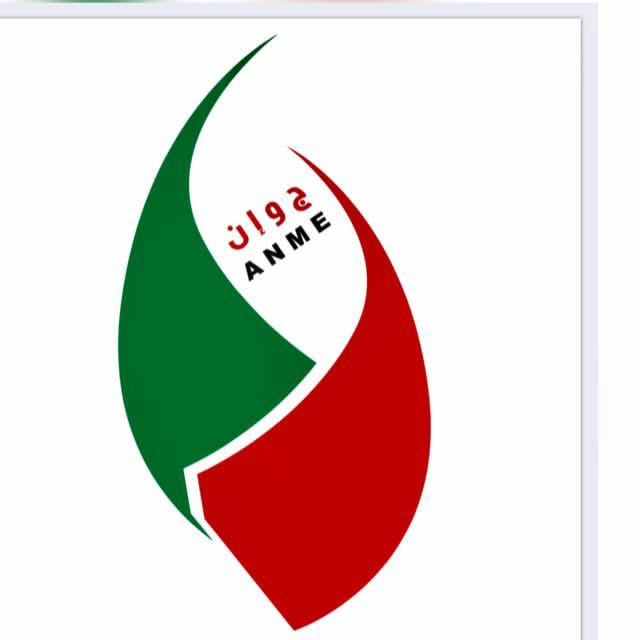 جمعية الناشرين تحذر من قرصنة وبيع حقوق المقاولات الاعلامية