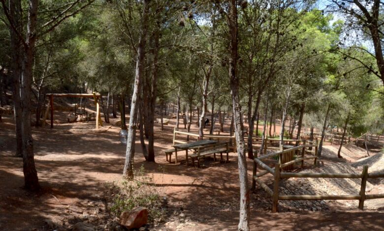 الوكالة الوطنية للمياه والغابات تعلن عن شروعها في إصدار خرائط تنبؤ لخطر اندلاع الحرائق الغابوية