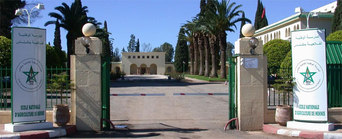  المدرسة الوطنية للفلاحة بمكناس تحتضن النسخة الحادية والعشرين من أولمبيادها