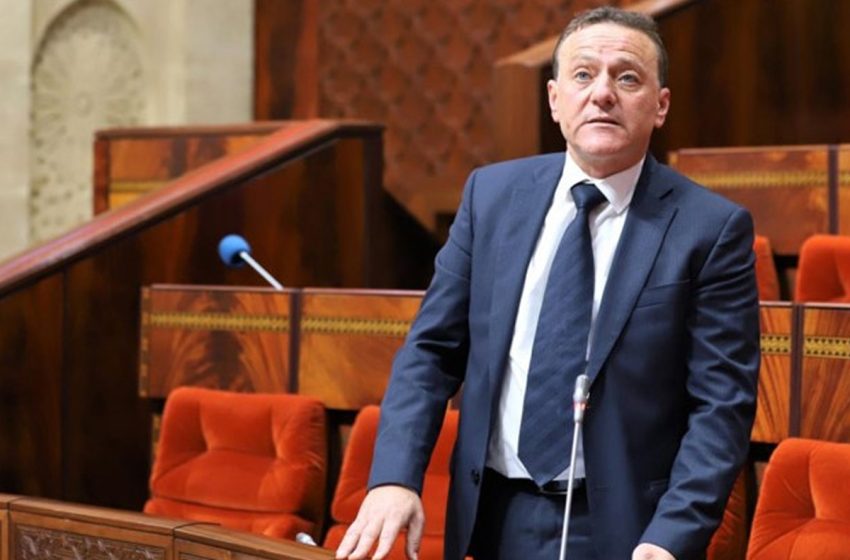 محمد عبد الجليل: الوزارة تعمل في إطار مقاربة استباقية لتوفير وسائل نقل إضافية لتلبية حاجيات المسافرين خلال فترة عيد الأضحى