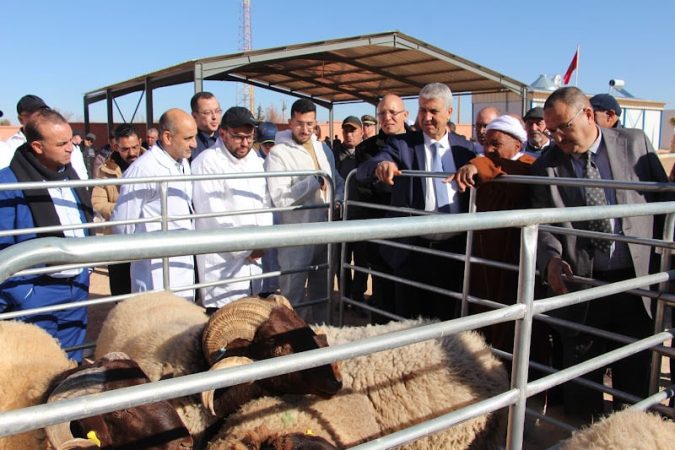 المعارضة في مجلس النواب تساءل محمد صديقي على خلفية تداعيات عيد الأضحى