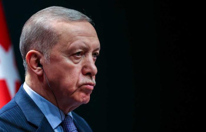 مركز تفنيد المعلومات المضللة التركي ينفي تجريد أردوغان من بعض الصلاحيات