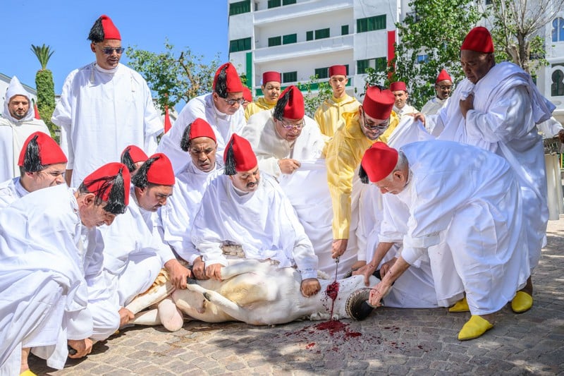 أمير المؤمنين يؤدي صلاة العيد بمسجد الحسن الثاني بتطوان وينحر الأضحية