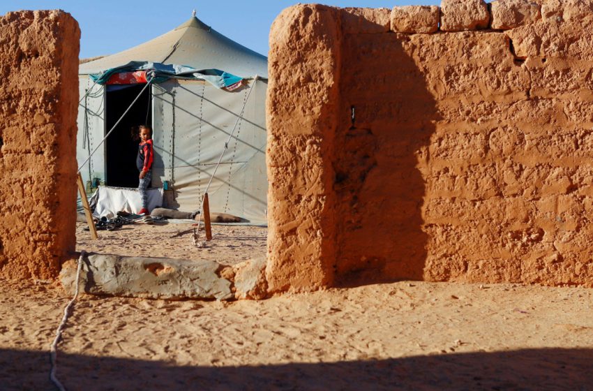 الإيسيسكو تدعو إلى التضامن مع اللاجئين ودعمهم للحصول على حقهم في الأمن والعيش الكريم