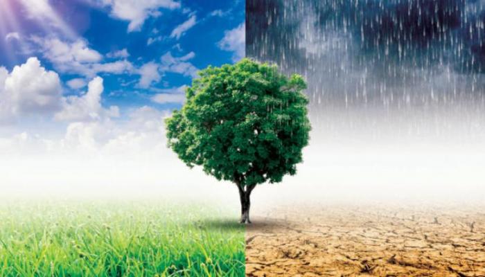 “تثمين الموارد الطبيعية في مواجهة مشاكل الاجهاد المائي والتغيرات المناخية محور منتدى دولي