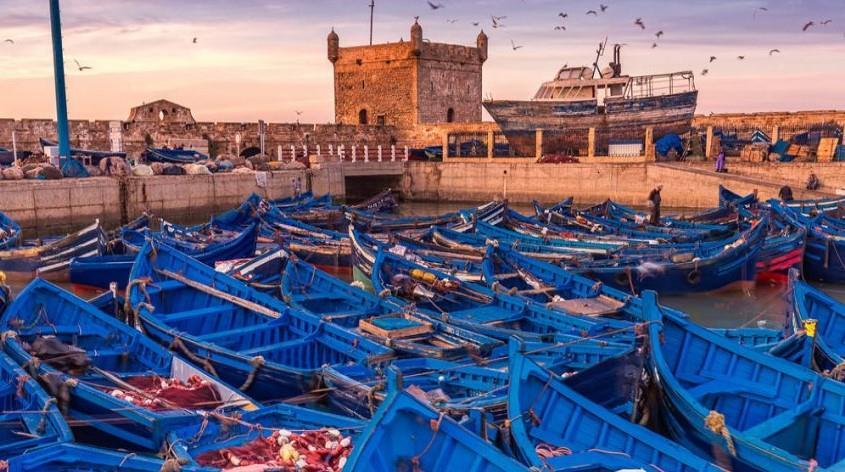 منتجات الصيد الساحلي والتقليدي على مستوى ميناء الصويرة تسجل ارتفاعا قويا بنسبة 111 %