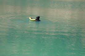 مصرع عشريني في بحيرة “تكلمامين” الواقعة في جماعة “أكلمام أزكزا”