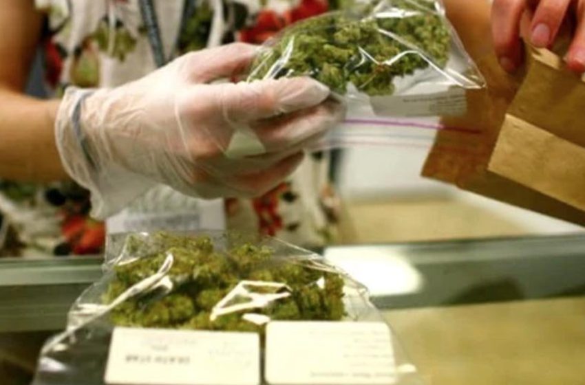 محمد الغالي.. قرار العفو الملكي يتماشى والأهداف المسطرة لورش تقنين وتطوير الاستعمالات المشروعة للقنب الهندي