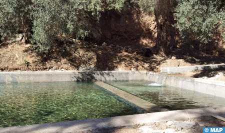 إقليم تارودانت… عملية إصلاح وإعادة تأهيل القطاع الفلاحي ضمن جهود إعادة الإعمار