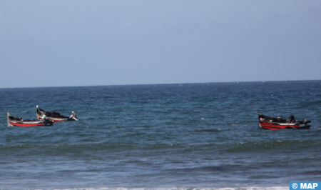 موسم جني الطحالب البحرية بإقليم الجديدة.. نشاط اقتصادي ومصدر دخل للساكنة المحلية