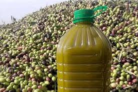 الحكومة المغربية تستعد لفتح باب استيراد زيت الزيتون لمواجهة النقص المتوقع في الإنتاج المحلي نتيجة الجفاف