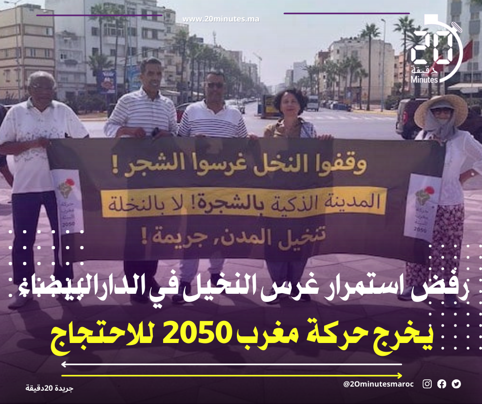 استمرار غرس النخيل .. يخرج “حركة مغرب 2050” للاحتجاج