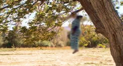 بعد لغز اختفاء غامض … العثور على جثة سيدة معلقة بشجرة