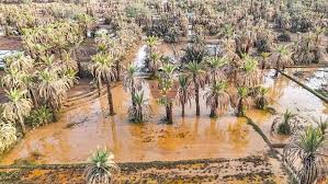 مصرع راعي غنم بمنطقة “دودرار” في قيادة إسافن