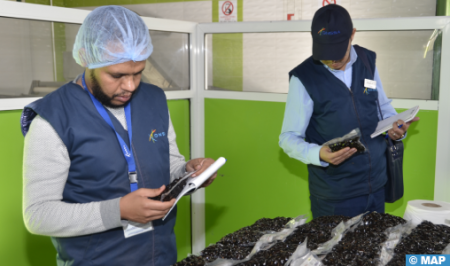 الرفع من وتيرة مراقبة جودة زيت الزيتون ومشتقاته على مستوى جهة بني ملال – خنيفرة.