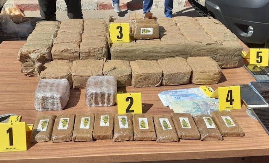 إحباط عمليات للتهريب الدولي للمخدرات على متن شاحنات للنقل الدولي