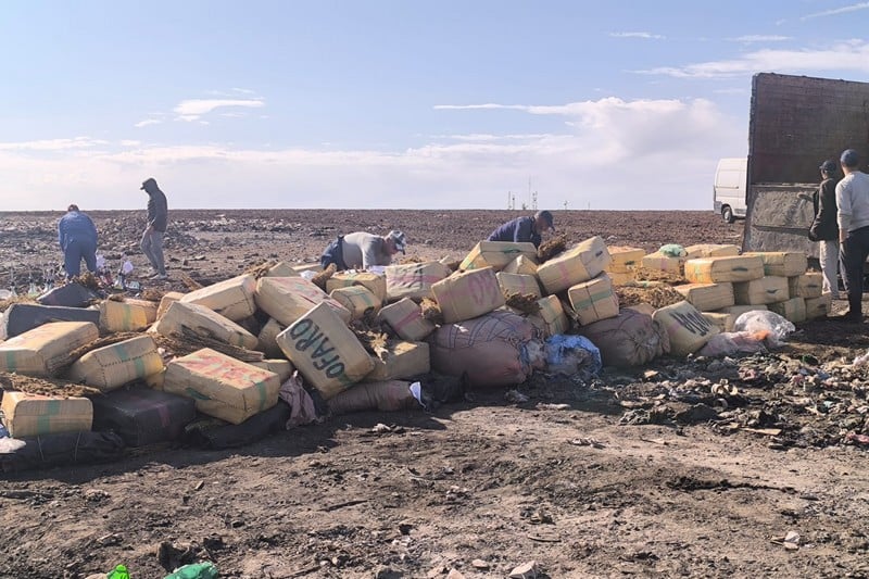إتلاف ما يفوق 4 أطنان من المخدرات بالمطرح العمومي للنفايات غرب مدينة سطات