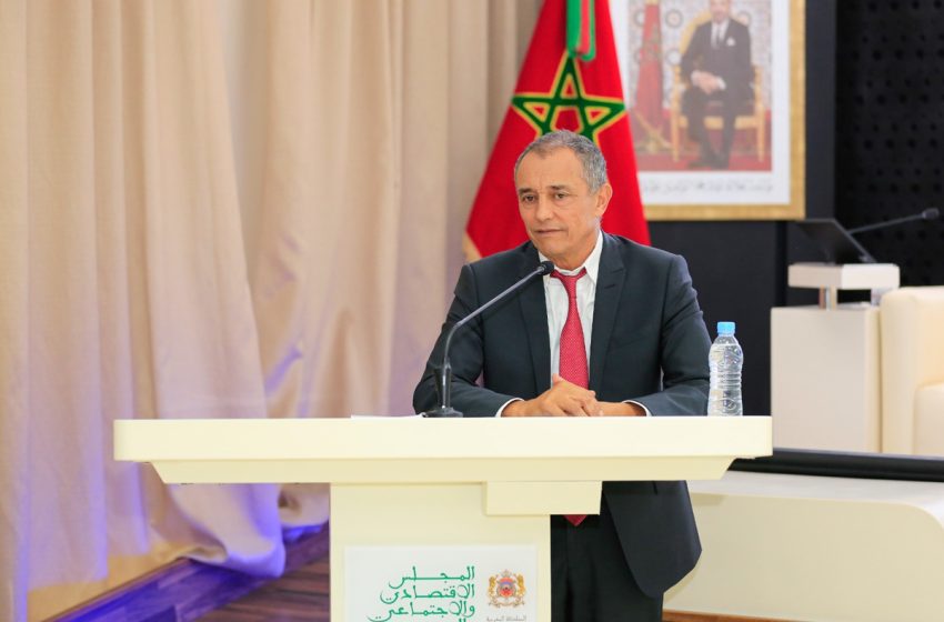   المجلس الاقتصادي والاجتماعي والبيئي يعقد الدورة العادية الخامسة والستين بعد المائة برئاسة السيد أحمد رضى شامي