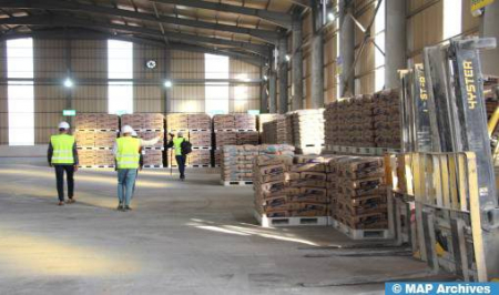 مبيعات الإسمنت ترتفع لتبلغ ما يناهز 13,7 مليون طن