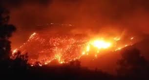 نشوب حريق في إحدى الغابات الواقعة بإقليم تطوان