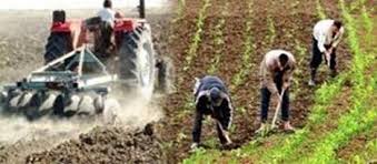 الأمطار الغزيرة تضيء آمال الفلاحين المغاربة: بداية موسم زراعي واعد