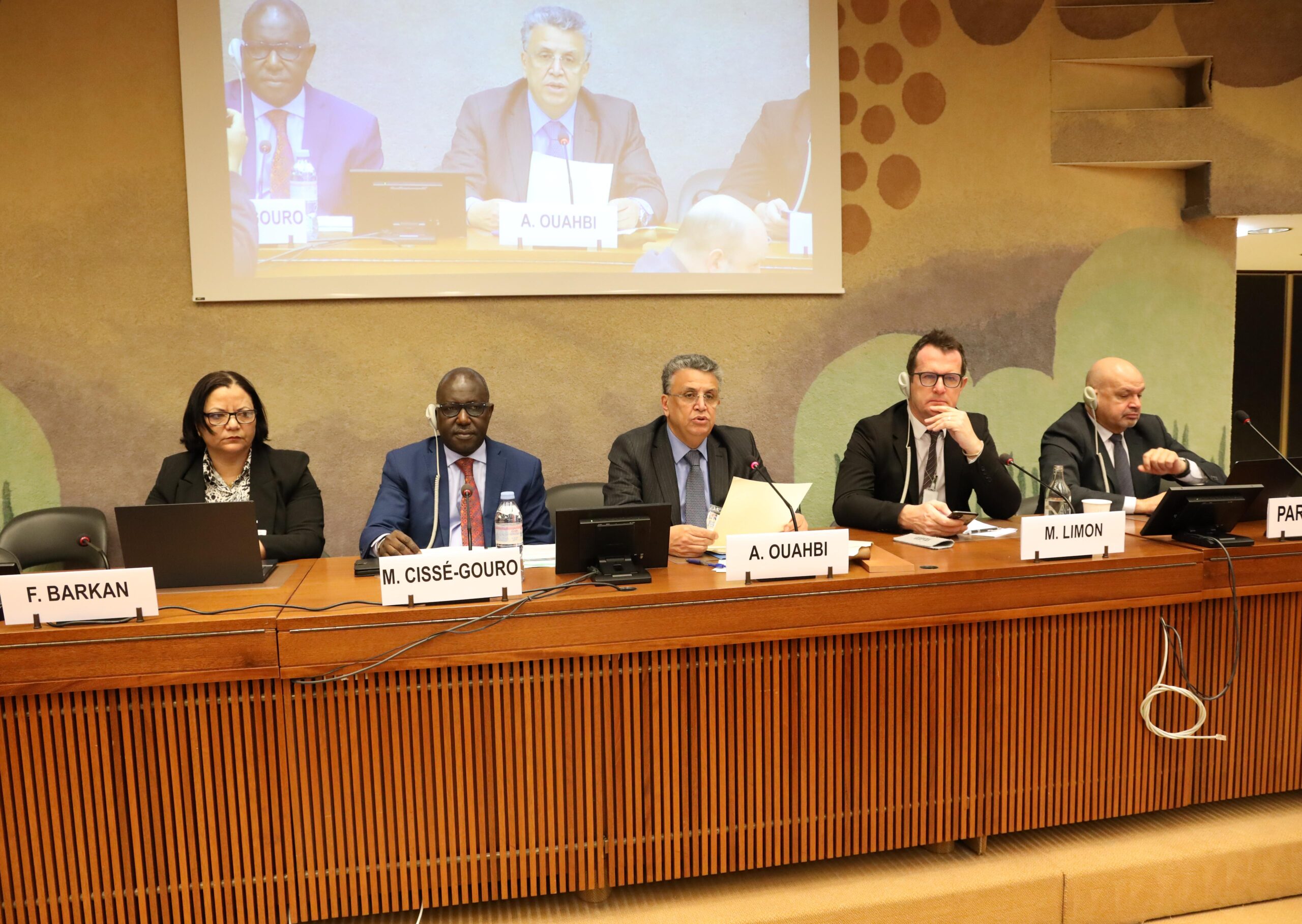 المغرب يقود شبكة دولية لتعزيز آليات حقوق الإنسان