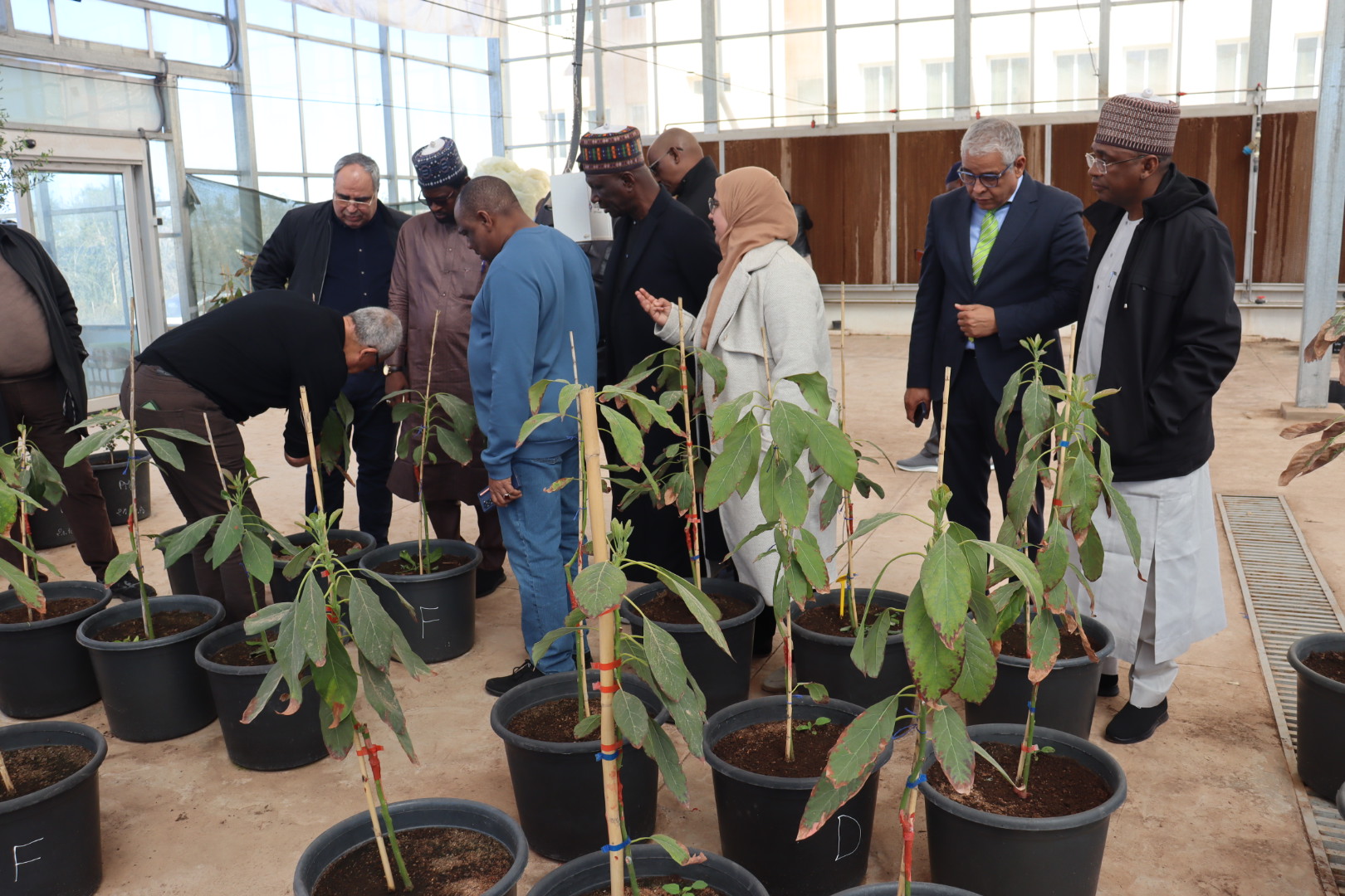 وفد نيجيري رفيع المستوى يزور جامعة وجدة ويوقع مع رئيسها عدة اتفاقيات