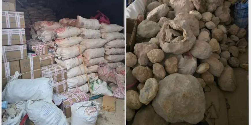 إحباط تهريب أحجار كريمة ومستحاثات نادرة قبل بيعها في السوق السوداء