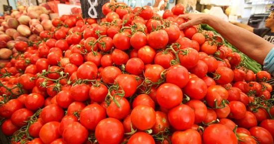 هل يستمر ارتفاع أسعار الطماطم مع اقتراب رمضان؟