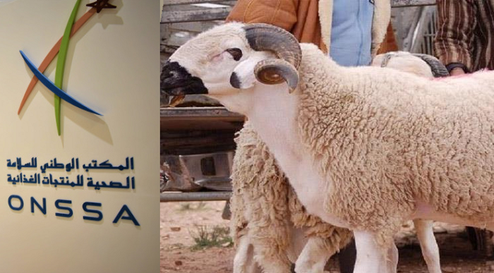 أونسا: صحة القطيع جيدة ومراقبة صارمة تضمن سلامة اللحوم