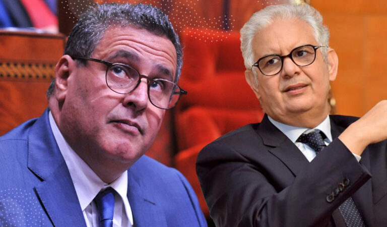 أزمة دعم المواشي بالمغرب.. تضارب الأرقام يضع الحكومة في مأزق