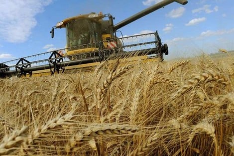 إسبانيا ترفع وارداتها من الحبوب المغربية بـ625%