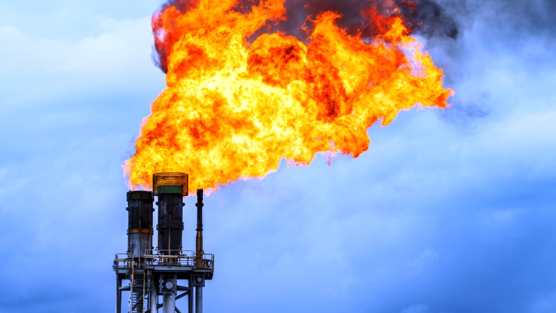 غاز جرسيف يشعل حمى الاستثمارات الأجنبية