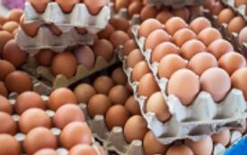 ارتفاع أسعار البيض بالمغرب.. التجار يرفضون الاتهامات ويحملون المنتجين المسؤولية