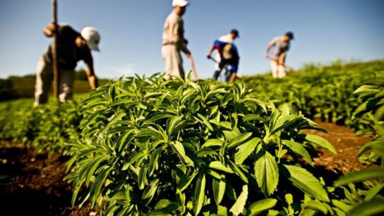 التساقطات المطرية تنعش الفلاحة بإقليم سطات وتبشر بموسم جيد