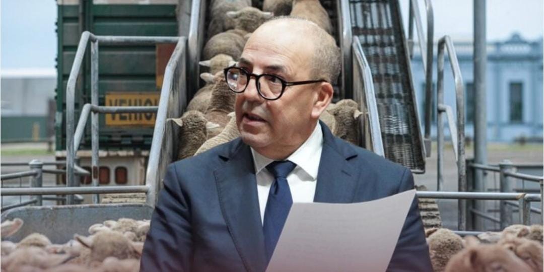 437 مليون درهم لاستيراد الأغنام.. الحكومة تبرر وتكشف الأرقام