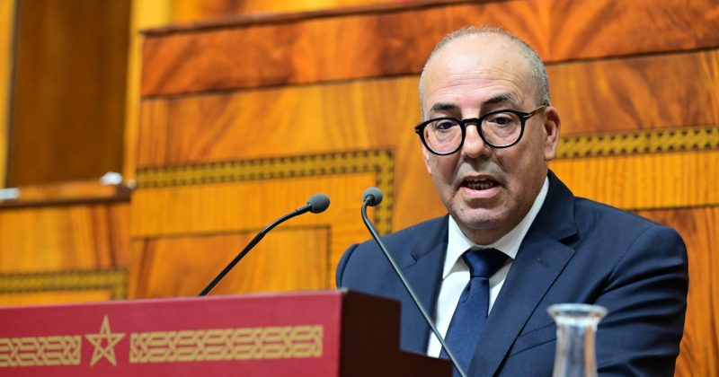 ارتفاع أسعار البصل والفلفل يثير تساؤلات حول غياب الرقابة الحكومي