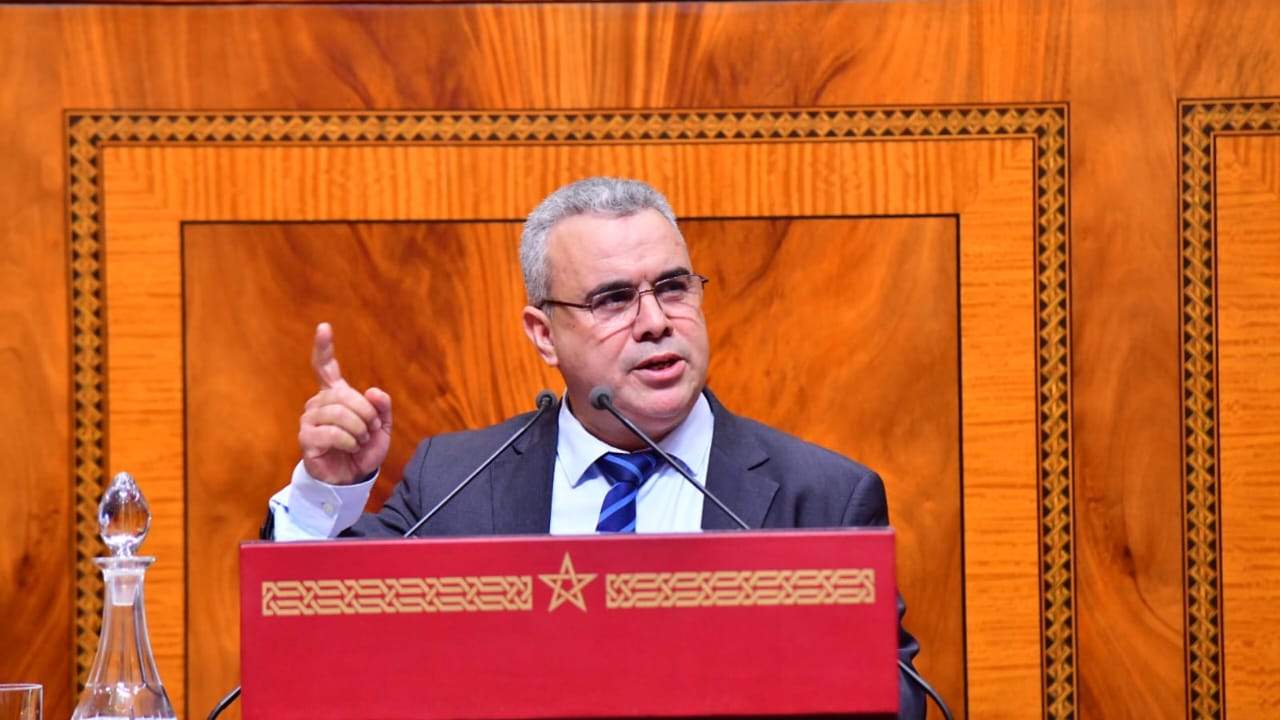 خالد السطي يُحذر من تمرير قانون “الغابات” دون نقاش: الإدماج يجب أن يكون طوعيًا