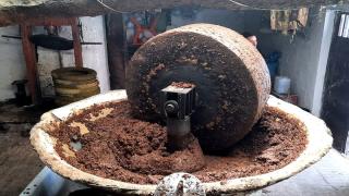 “لنستفد من زيت الزيتون دون أن نفقد مياهنا”.. حملة توعية شمال المغرب